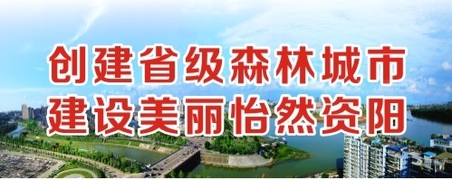 操日韩嫩逼逼创建省级森林城市 建设美丽怡然资阳